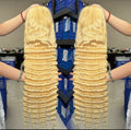 Raw 613 HD Lace Wigs Raw Human Hair Lace Front, Blonde 613 Deep Wave Vietnamese Hair